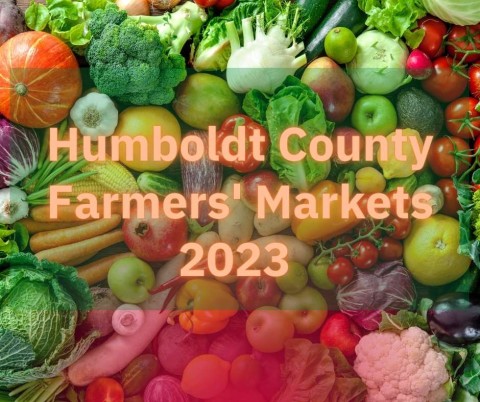 Farmers' Markets in Humboldt County - Your Guide to Fresh, Local Goods