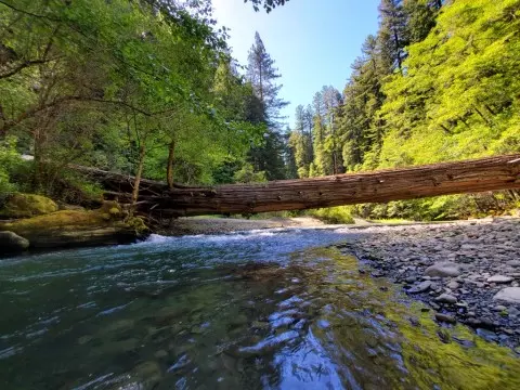 15 Outdoorsy Things to do in Humboldt County