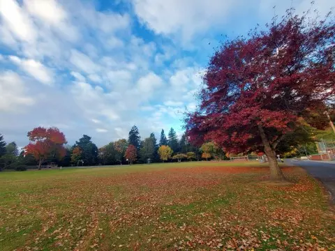 5 Reasons to Love Fortuna's Rohner Park